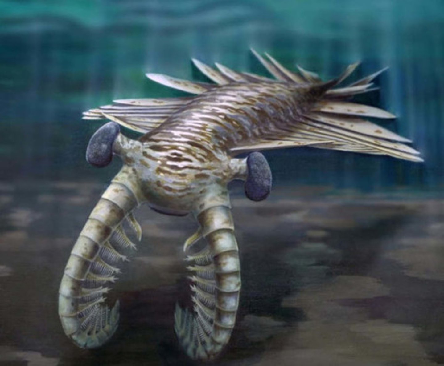 <p>An extinct marine predator with a segmented body and large appendages</p>