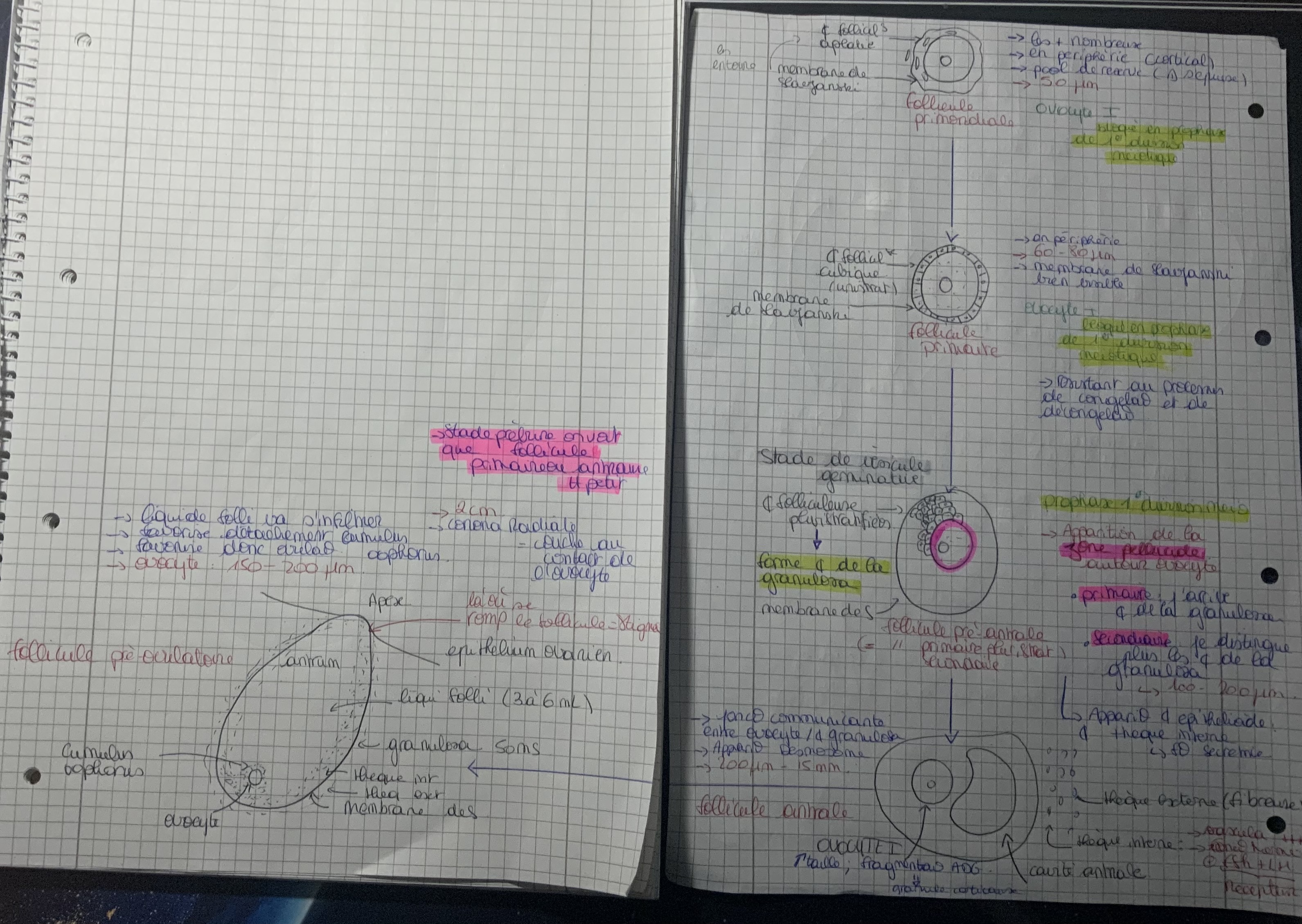 <p>P’tit résumé de tt </p>