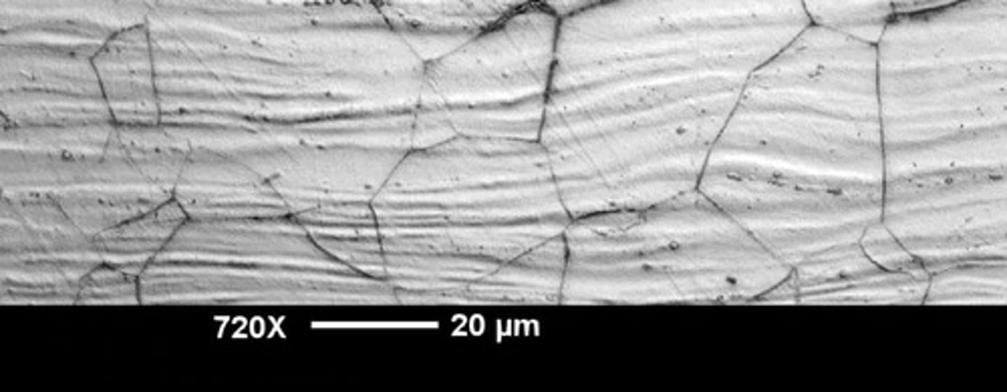 <p>corrosion along grain boundaries due to depletion</p>
