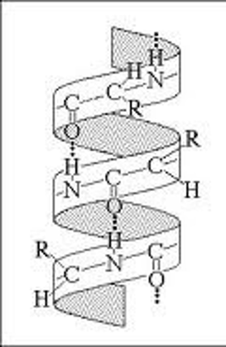 <p>Very weak bonds; occurs when a hydrogen atom in one molecule is attracted to the electrostatic atom in another molecule</p>