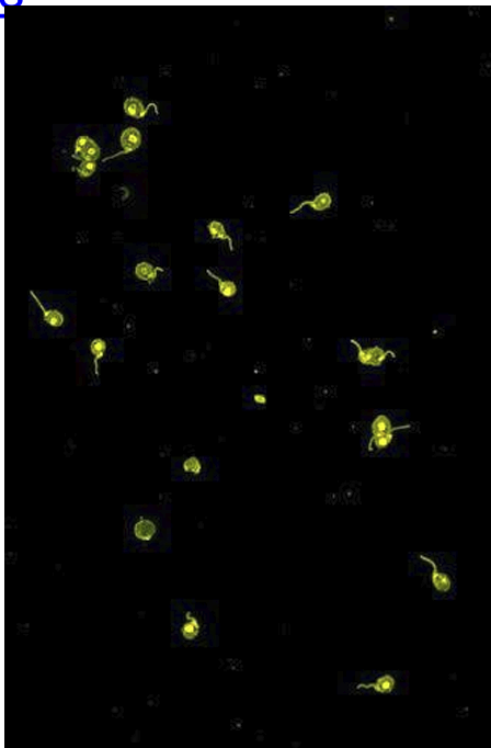 <p>What does this show</p>