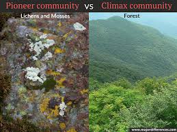 <p><strong>Climax Community</strong></p>