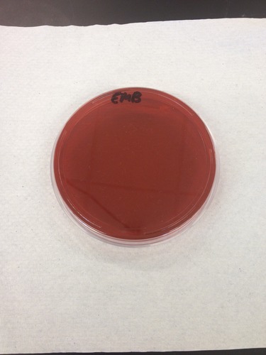 Classification of Eosin Methylene Blue agar (EMB)