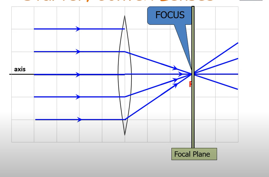 <p>Rays which enter the lens parallel to the principle axis. Axial rays form the image ON the focal point.</p>