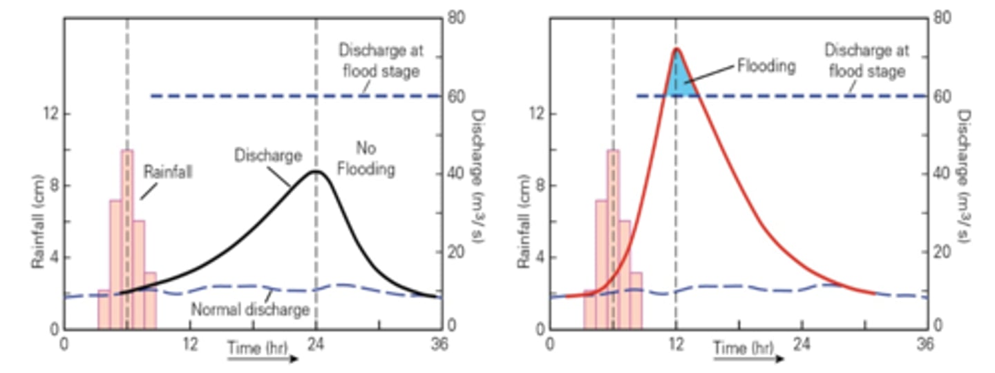 <p>after urbanization, rainwater flows directly into streams, so discharge rate is greater and lag time is shorter.</p>