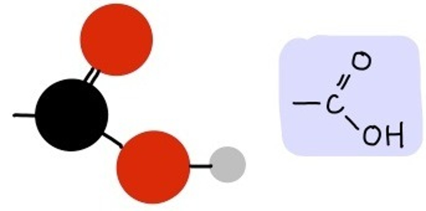 <p>Compound Name: Carboxylic Acids</p><p>Polar/ Non: polar</p><p>Hydrophilic: yes</p><p>Acid or Base: acid</p><p>Example: Acetic Acid</p>