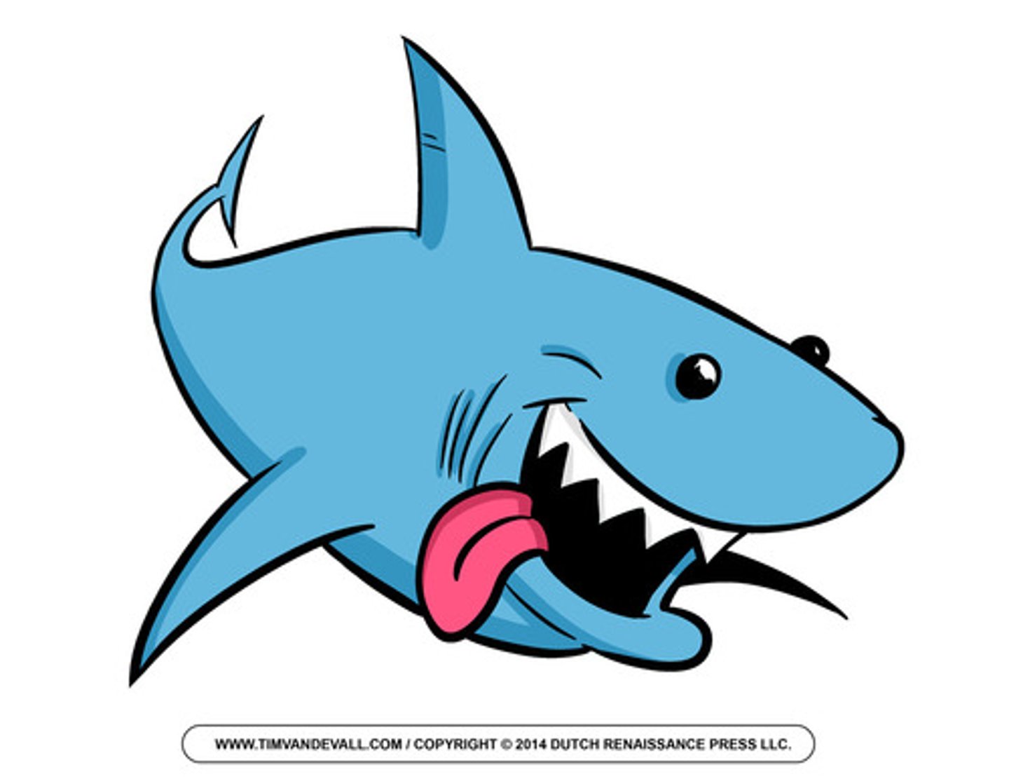 <p>shark</p>