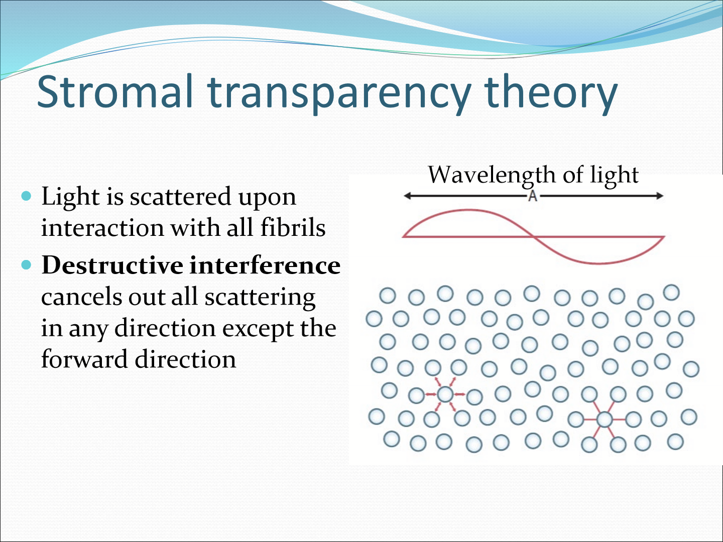 <p>It says that the distance between scattering structures has to be less than ½ of the wavelength to create destructive interference to cancel out all scattering light in any direction except the forward direction. </p>