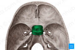 knowt flashcard image