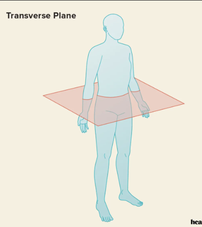 <p>splits top and bottom</p>