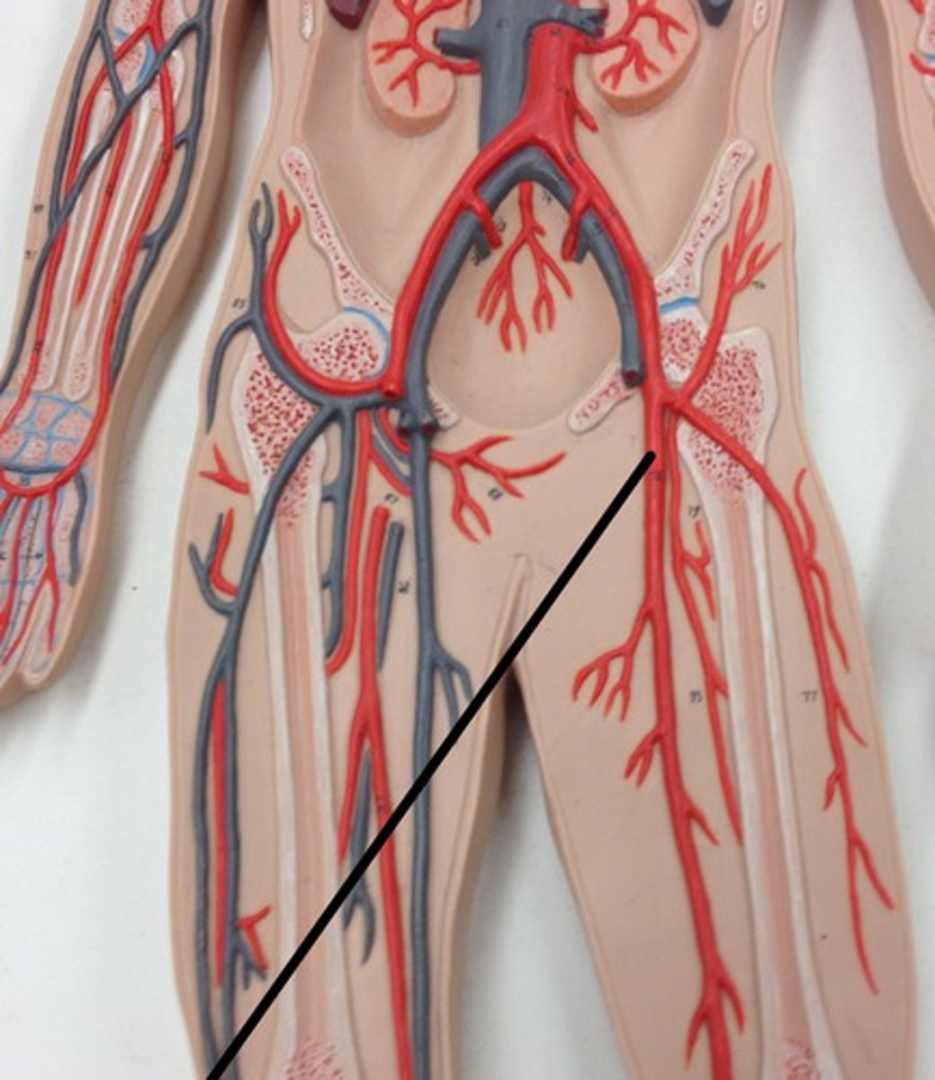 <p>What structure?</p>