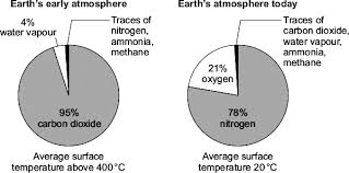 <p>carbon dioxide (small amounts of water vapor)</p>