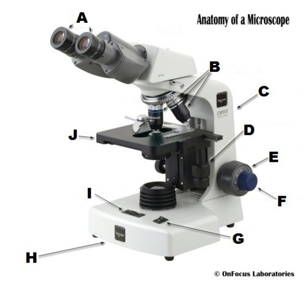 <p>microscope part (F)</p>