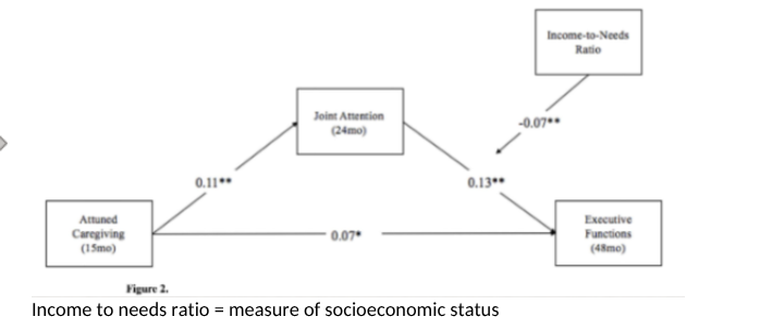 <p><span style="background-color: inherit; line-height: 20.7px; color: windowtext;"><span>• Intersubjectivity and learning turn-taking</span></span><span style="line-height: 20.7px; color: windowtext;"><span>&nbsp;<br></span></span><span style="background-color: inherit; line-height: 20.7px; color: windowtext;"><span>• Labelling objects that have the child’s attention</span></span><span style="line-height: 20.7px; color: windowtext;"><span>&nbsp;<br></span></span><span style="background-color: inherit; line-height: 20.7px; color: windowtext;"><span>• Use of infant directed speech to emphasise support word learning</span></span><span style="line-height: 20.7px; color: windowtext;"><span>&nbsp;<br></span></span><span style="background-color: inherit; line-height: 20.7px; color: windowtext;"><span>• Parental scaffolding: repeating and building on child’s words. E.g. “dog” “yes, there is a spotty dog”</span></span><span style="line-height: 20.7px; color: windowtext;"><span>&nbsp;<br></span></span><span style="background-color: inherit; line-height: 20.7px; color: windowtext;"><span>• Evidence that such scaffolding aids language development (Hoff, 2005)</span></span><span style="line-height: 20.7px; color: windowtext;"><span>&nbsp;<br></span></span><span style="background-color: inherit; line-height: 20.7px; color: windowtext;"><span>• Playing word games (“where’s your nose? yes your nose is on your face”)</span></span><span style="line-height: 20.7px; color: windowtext;"><span>&nbsp;</span></span></p>