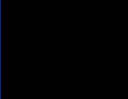 <p>black</p>