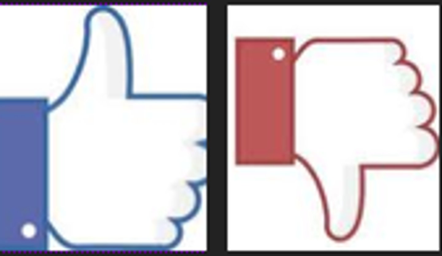 <p>a person who judges whether something is good or bad</p>