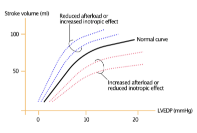 <p>increased contractile force (stroke volume) at any preload</p>