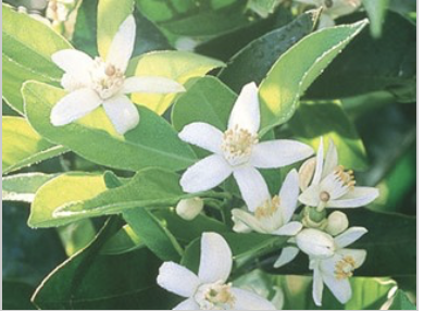 <p>What is this?</p>