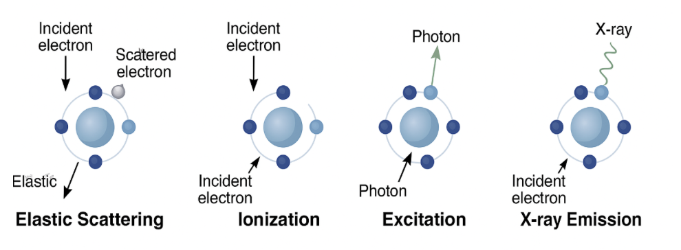 <p><strong>1. Elastic Scattering</strong></p><p class="">In elastic scattering, an incident electron interacts with the electric field of an atom—usually the nucleus—without transferring significant energy. The electron changes direction but retains nearly all its original energy. This process affects the trajectory of the beam and contributes to image contrast in electron microscopy.</p><p><strong>2. Ionization</strong></p><p class="">Ionization occurs when the incident electron transfers enough energy to eject an inner-shell electron from the atom. This leaves the atom ionized (positively charged) and creates a vacancy in an electron shell, which can lead to secondary effects like X-ray emission or Auger electron release. Ionization is a key process in generating electron energy loss spectra.</p><p><strong>3. Excitation</strong></p><p class="">In excitation, the incident electron transfers part of its energy to an atomic electron, promoting it to a higher energy level without ejecting it from the atom. The excited electron eventually falls back to its original state, releasing energy as a <strong>photon</strong>—typically a visible or ultraviolet photon depending on the energy transition.</p><p><strong>4. X-ray Emission</strong></p><p class="">X-ray emission follows ionization when a higher-energy electron drops down to fill the inner-shell vacancy. The energy difference is released as a characteristic X-ray photon. This process forms the basis of Energy Dispersive X-ray Spectroscopy (EDS), which is used to identify the elemental composition of materials.</p>