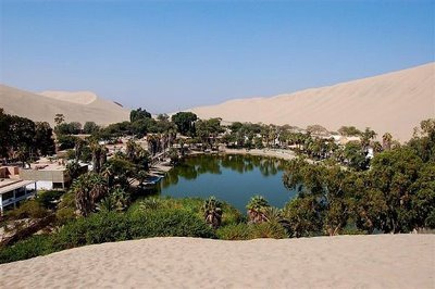 <p>a place where water can be found in a desert making human settlement possible</p>
