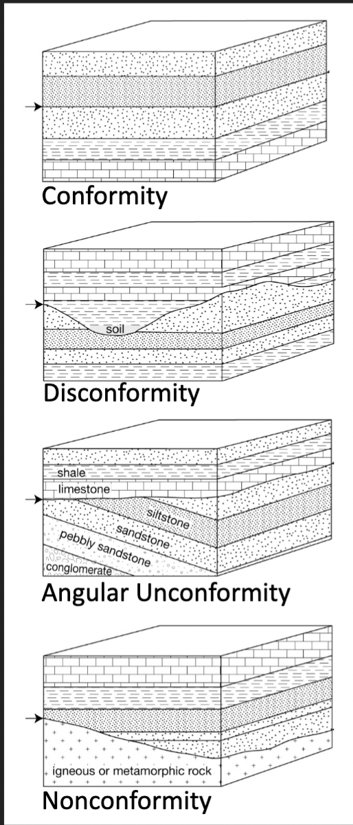 <ol><li><p><strong>Conformity</strong></p></li><li><p><strong>Disconformity</strong></p></li><li><p><strong>Angular unconformity</strong></p></li><li><p><strong>Nonconformity</strong></p></li></ol>