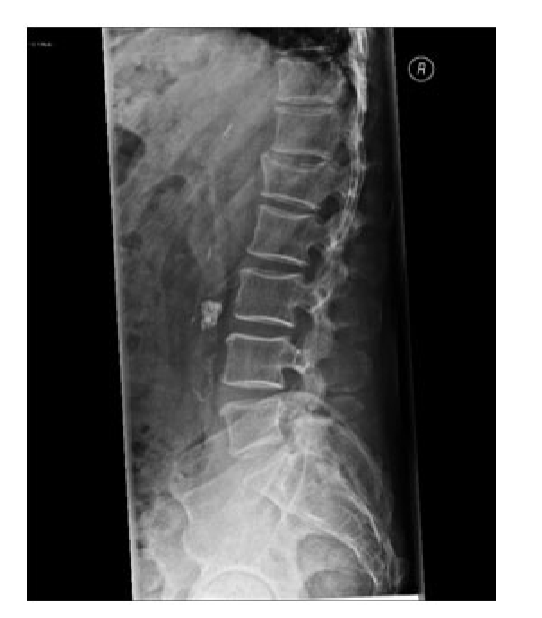 <p>What does this show?</p>