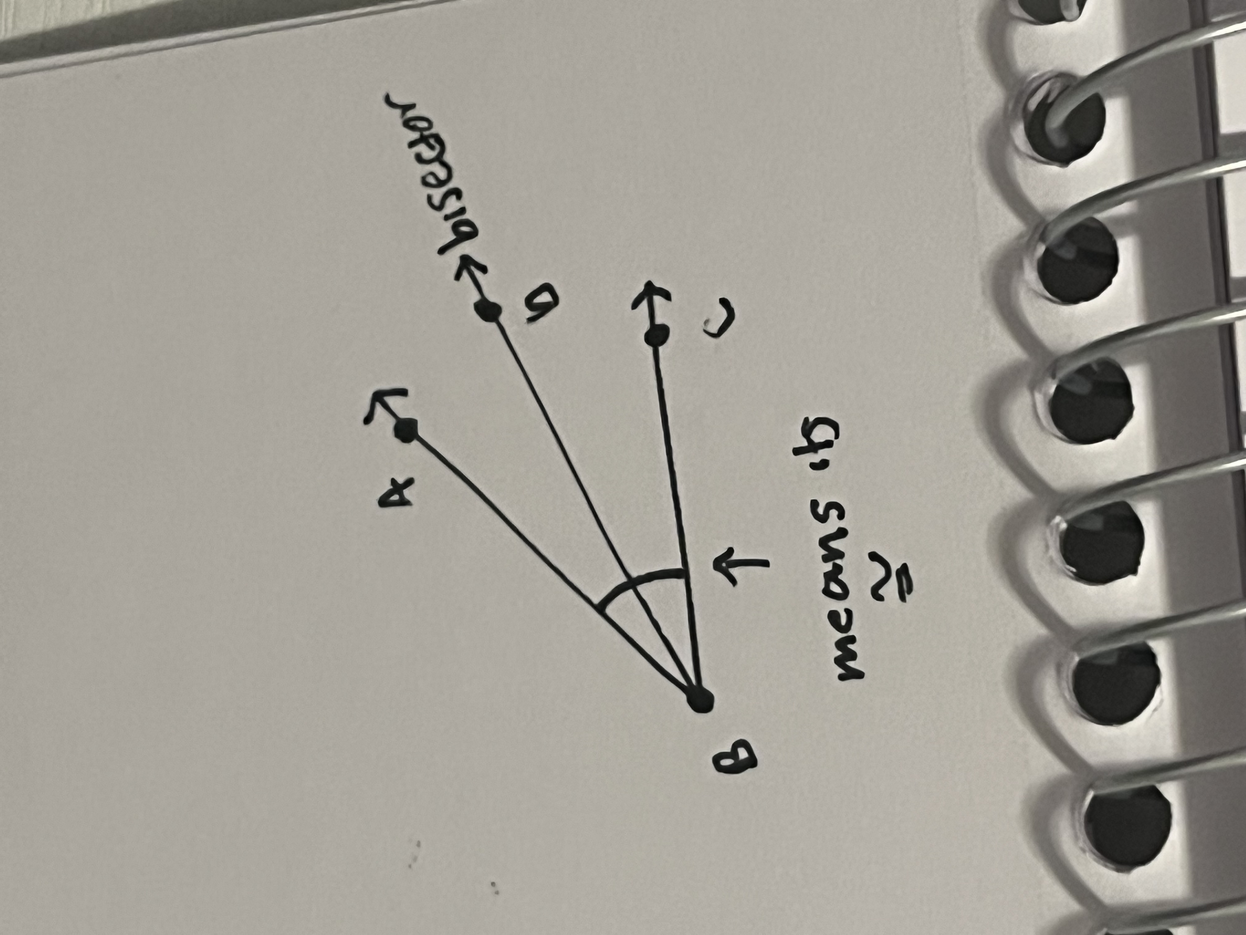 <p>A ray that divides an angle into 2 congruent angles</p>