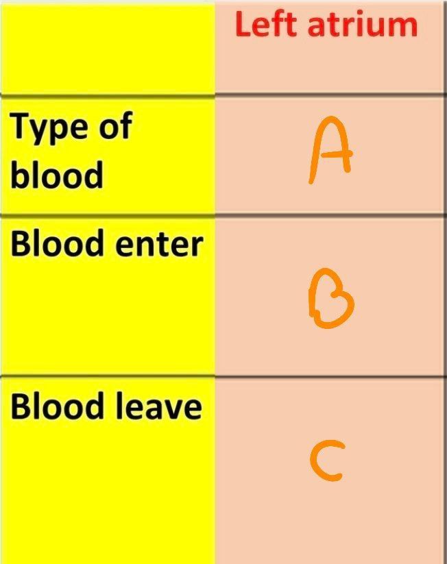 <p>Answer the following questions</p>