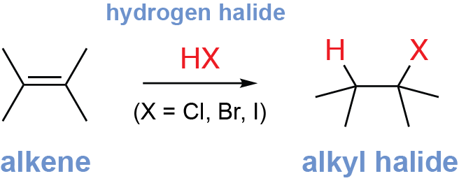 <p>The Pi bond is broken, and hydrogen and a halogen are added on each side of the bond. It will be a Markovnikov addition if the solvent is pure, and it will be an anti-Markovnikov addition if it is an impure solvent.</p>