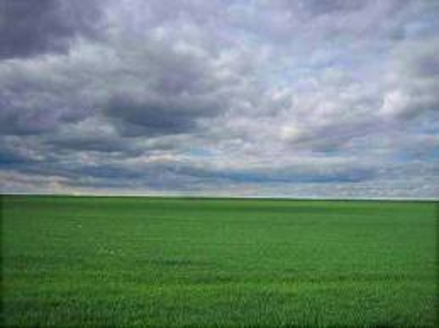 <p>plain, field, level surface</p>