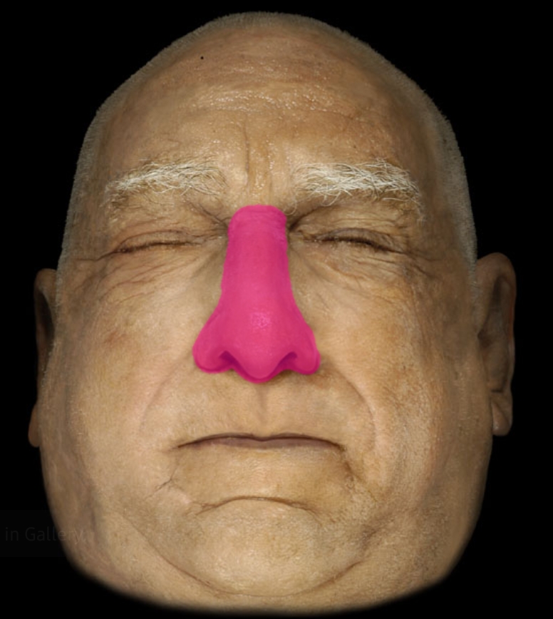 term image