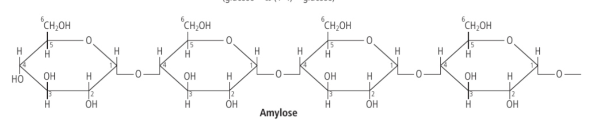 <p>a type of starch where the carbon #1 is bonded to the carbon #4 of adjoining glucose.</p><ul><li><p>When hundreds of glucose molecules are bonded by only 1-4 linkages, the resulting structure will be linear but in a helix shape.</p></li></ul>