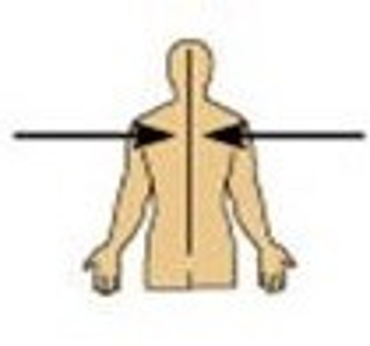<p>Toward or at the midline of the body; on the inner side of</p>