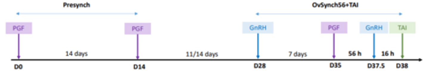 <p>Presynchronisation is done by giving 2 PGF injections 14 days apart</p>