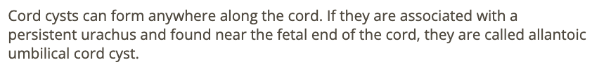 <p>a) umbilical cord cyst </p>