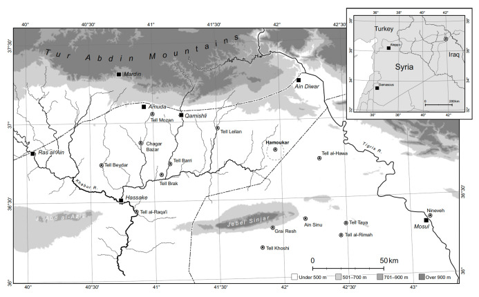 <p><strong>Hamoukar magnetic map and Area A step trench</strong></p>