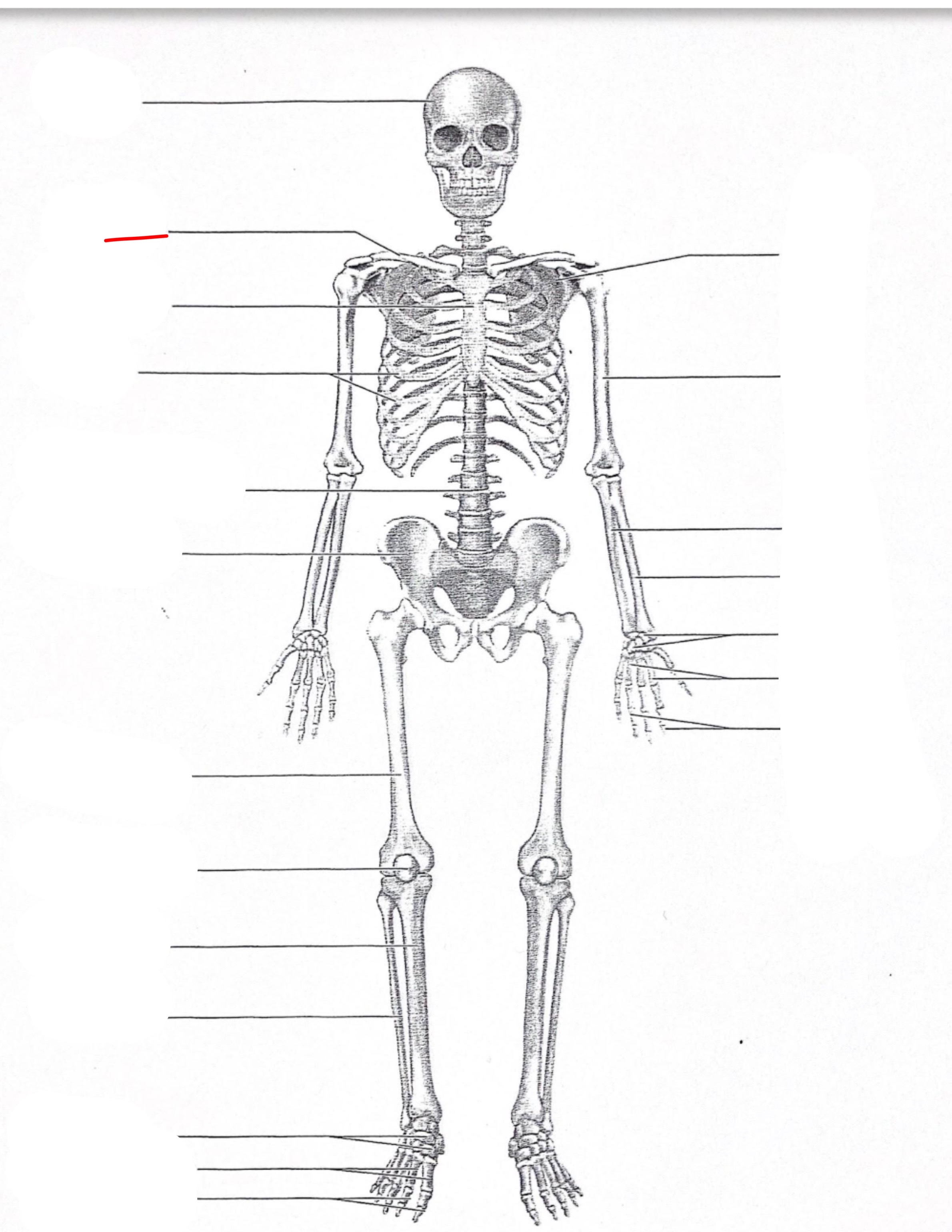 <p></p>
