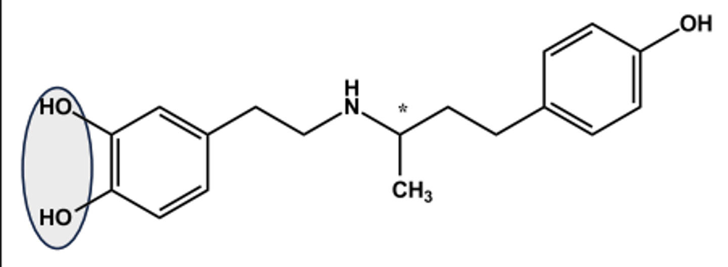 <p>- LogP = 3.5; pKa = 9.5</p><p>- Administered as racemate</p><p>- (+)-isomer has 10x β1 -agonist activity</p><p>- (-)-isomer is potent α1 -agonist; (+)- isomer is potent α1 -antagonist and antagonizes the (-)-isomer</p><p>- Net effect in vivo is nearly pure β1 - agonist effect</p><p>- Use: cardiac stimulant T1/2= 2 min (why?)</p>
