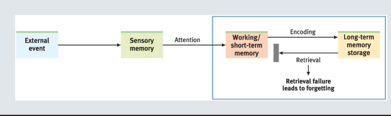 <p>Insufficient info to access memories may put them out of reach</p><p>Invalid retrieval cues</p>