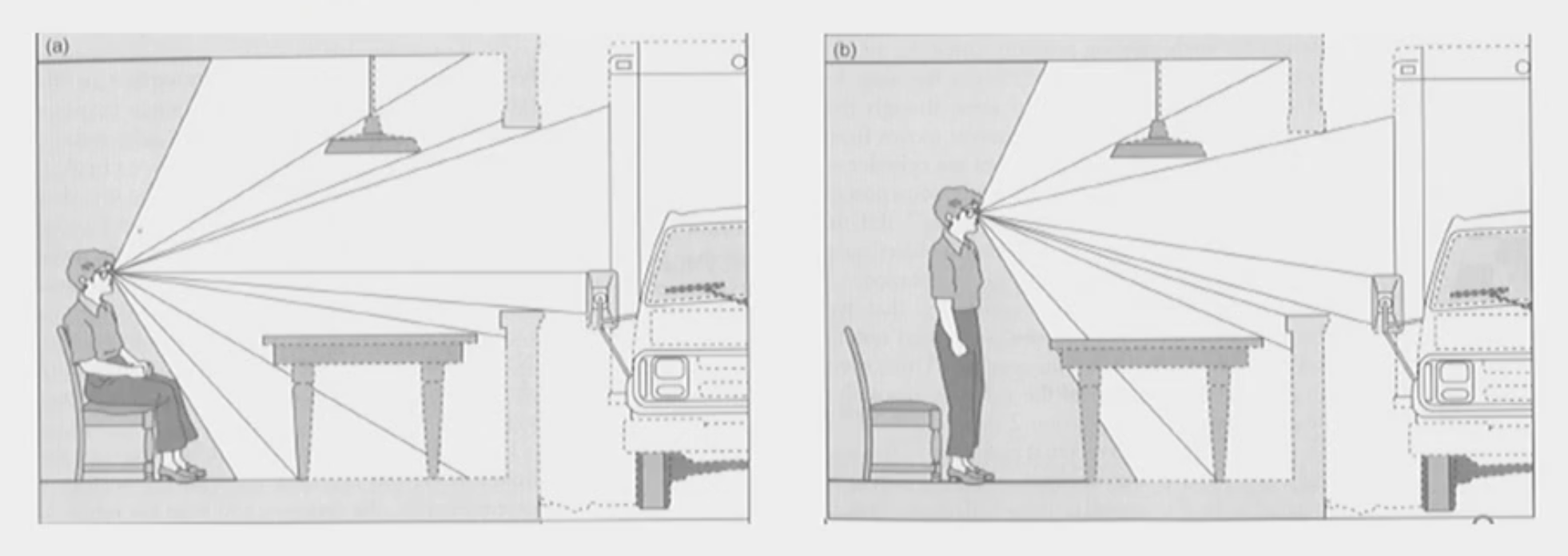 <p>When structures get in the way of light in an environment and thus give us all the information we need for perception. </p><p></p><p>To explain, light can travel in a straight line forever and so the structures in our environment ‘get in the way’ of it from going straight forever. However, in them getting in the way, they get illuminated and highlighted in our natural environment, giving us all the information we need in order to perceive it. </p><p></p><p>However, looking at stuff from one angle is not enough. Hence, Gibson said that we needed to compare our ambient optic array from different locations and then combine them to create one whole percept. This was called optic flow. </p>