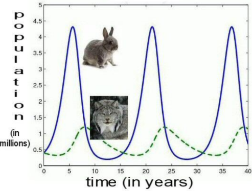 <ul><li><p><span style="background-color: transparent;">Prey populations rapidly increase. This is followed by an increase in the predator population.</span></p></li></ul><ul><li><p><span style="background-color: transparent;">As predators eat the prey, their population goes down because there is less to eat and the predator population also goes down. </span></p></li></ul><p></p>