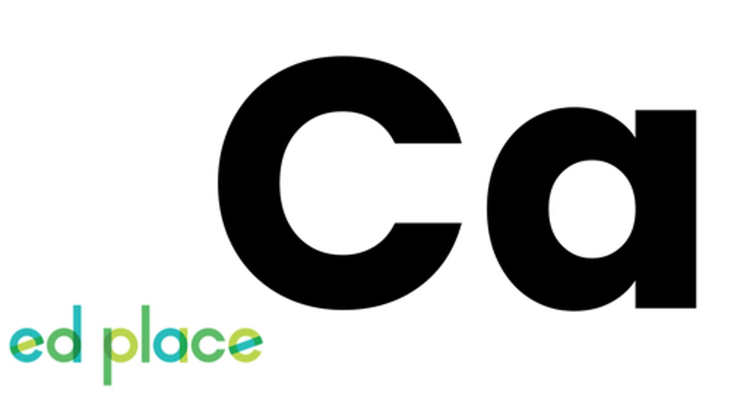 <p>(Don't forget the capital 'C' and lowercase 'a'!)</p>