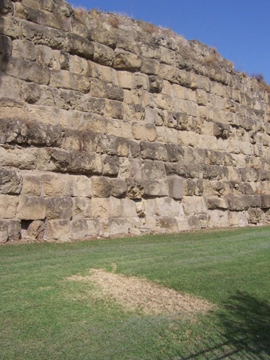 <p>wall</p>