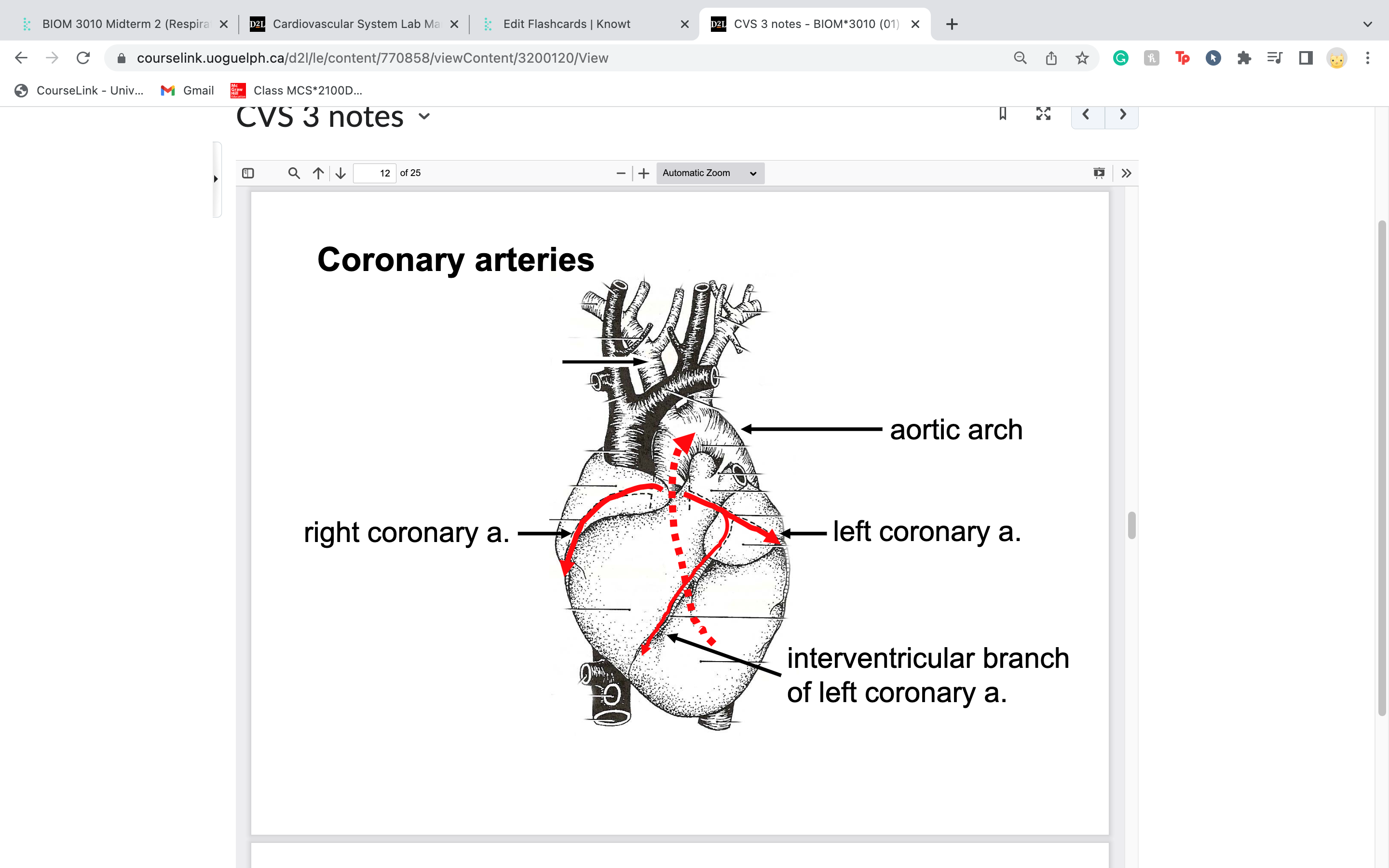 knowt flashcard image