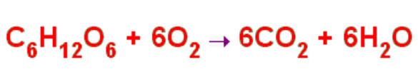 What is this an equation for? And what does everything represent?