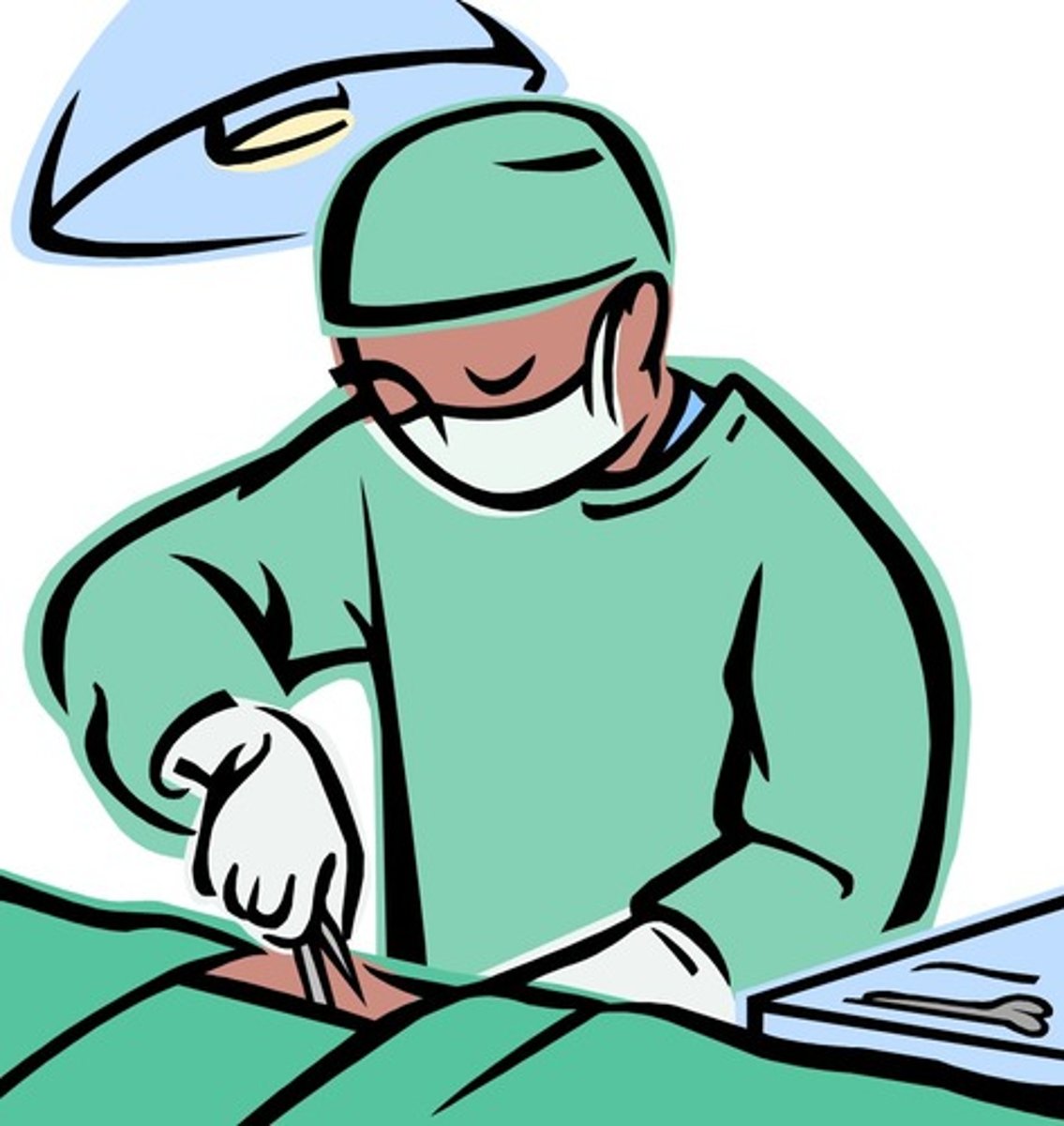 <p>surgeon</p>