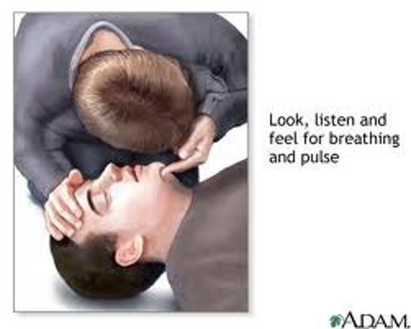 <p>look for movement of the chest, listen and feel for air movement by placing your ear and then your cheek at the mouth and nose of the victim</p>