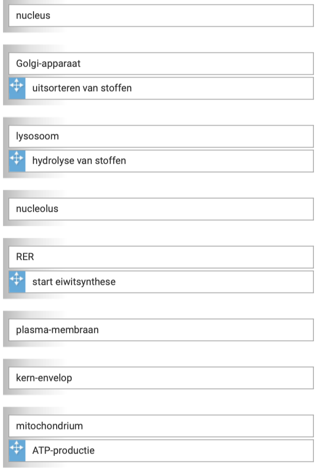 knowt flashcard image