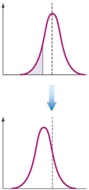 <p>favors individuals that vary in one direction</p><p>At a single gene locus, directional selection may result in favoring a</p><p>particular genetic variant (positive selection for that variant)</p>