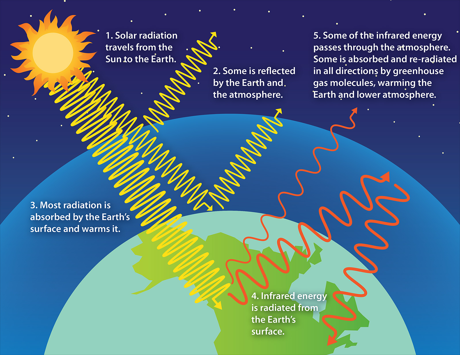 <ul><li><p>Naturally occurring greenhouse gases (e.g., carbon dioxide, methane, water vapour) trap heat in the atmosphere</p></li><li><p>Solar radiation enters, warms Earth, and some heat is radiated back</p></li><li><p>Greenhouse gases absorb and re-radiate heat, keeping Earth’s temperature suitable for life</p></li></ul><p></p>